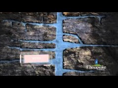 video
            thumbnail